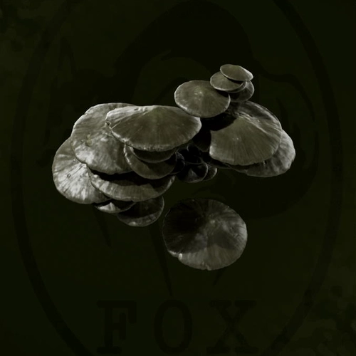 メタルギアデルタ_バイカルシシタケ_アイコン